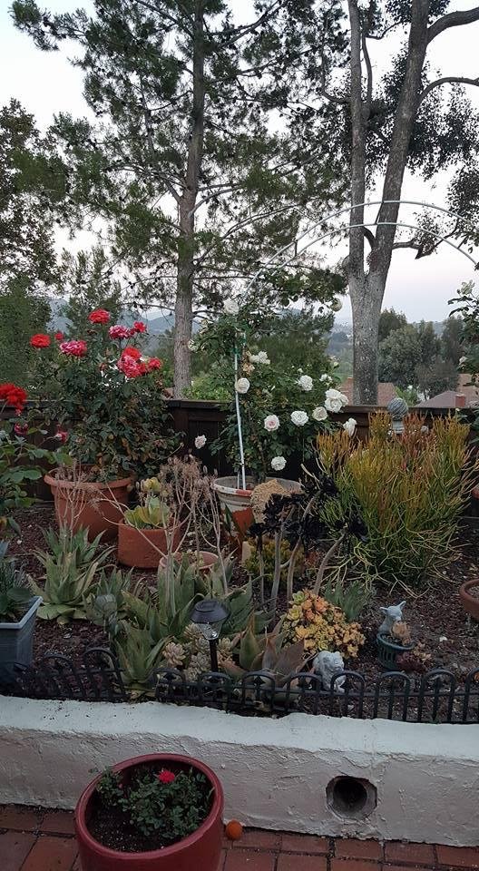 A beautiful night in Escondido, CA.