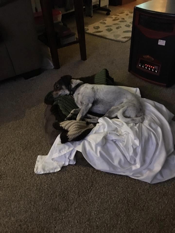 She moved her bed over the heater