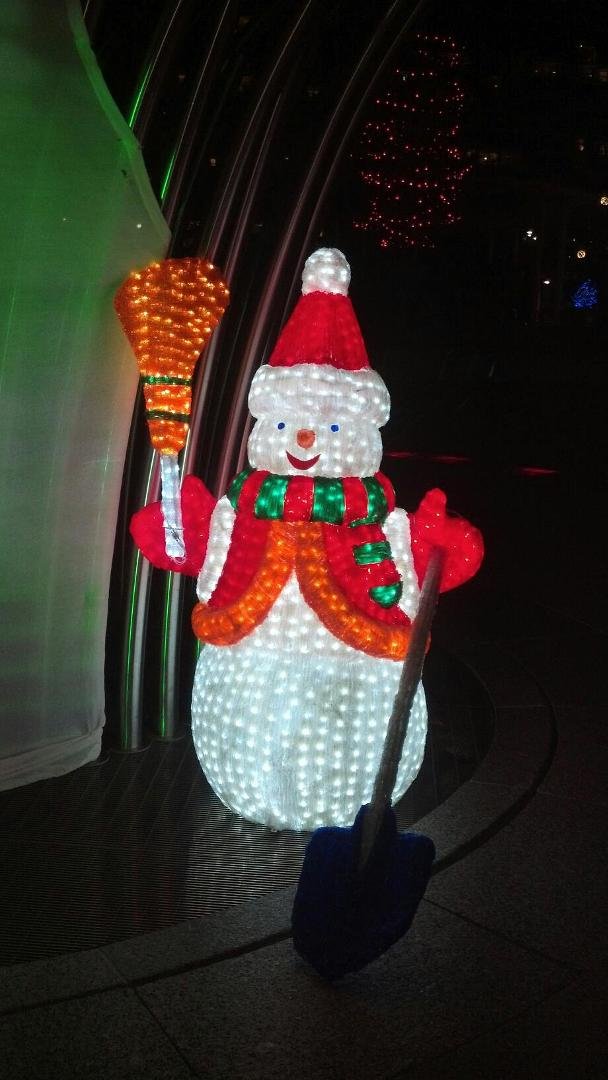 We went downtown Columbus to enjoy the Christmas lights.
