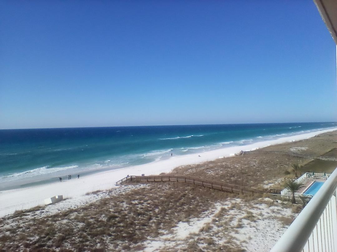 Our morning view.