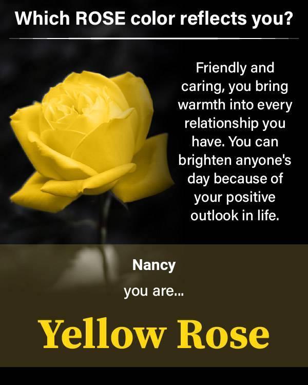 Nancy Ashe's album, Timeline photos