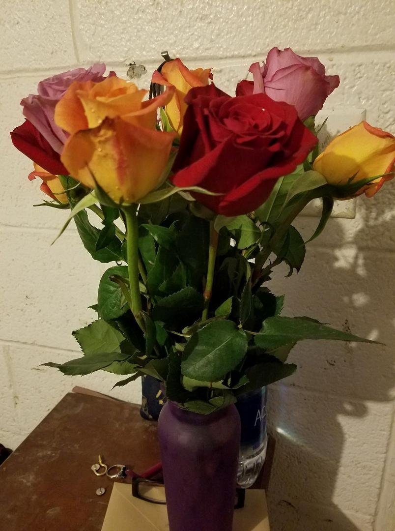 The beautiful roses he got me for our anniversary....i love them