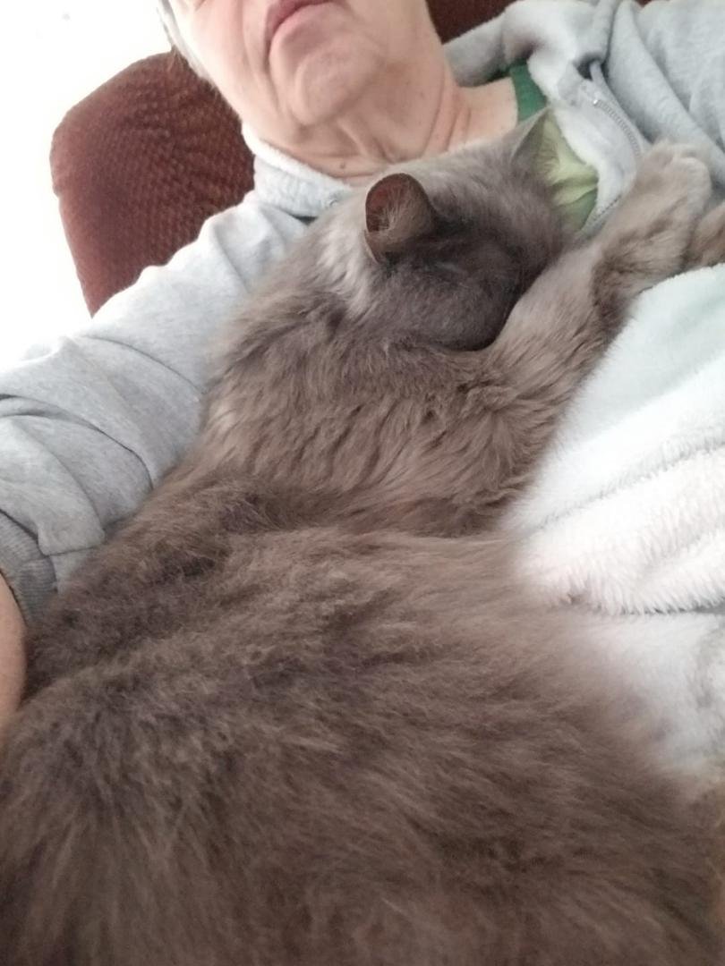 Good morning for coffee and a cat🥰