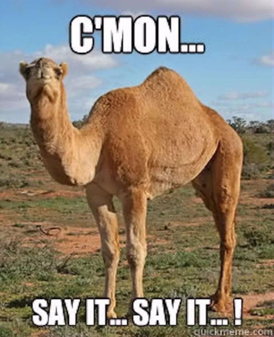 What day is it?
