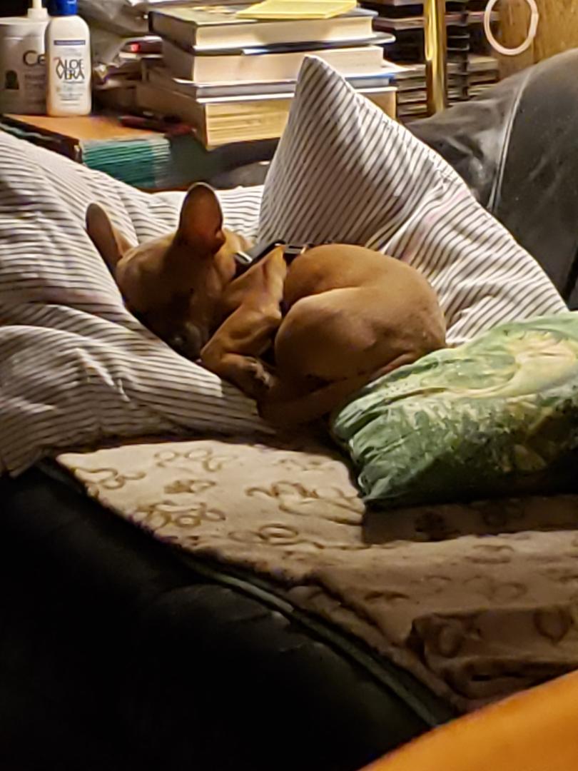 Somebody crashed out!!