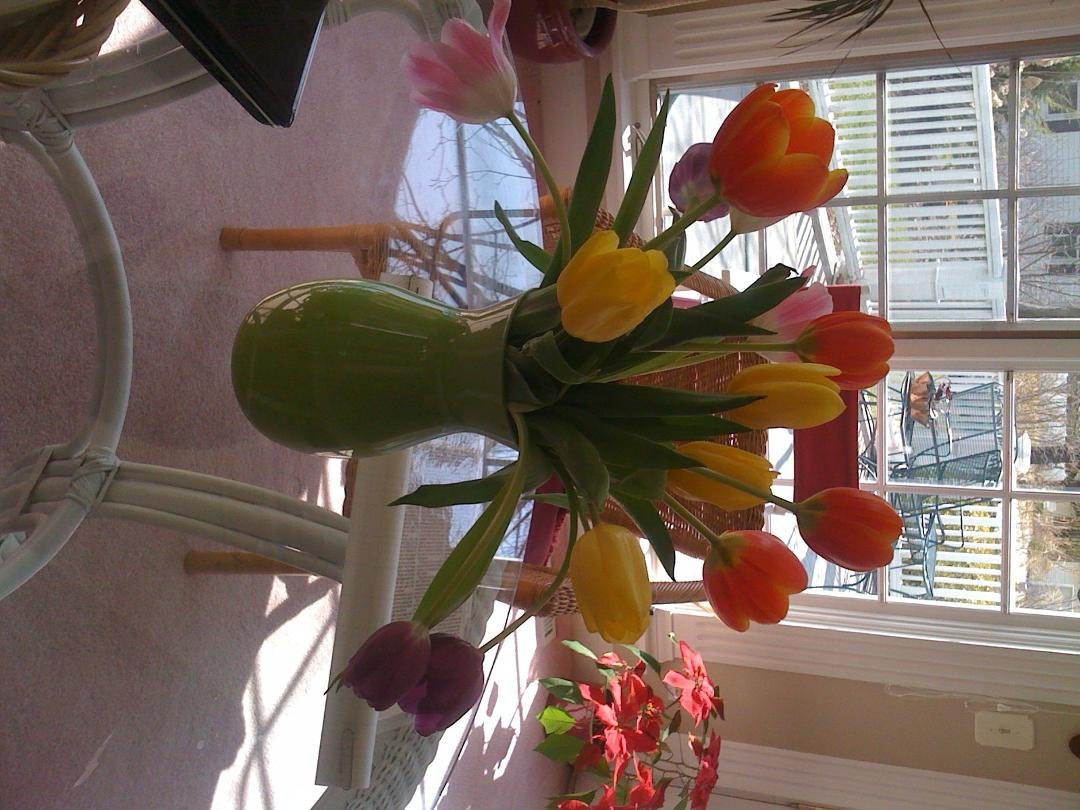 Nancy McDonnell's album, Timeline Photos