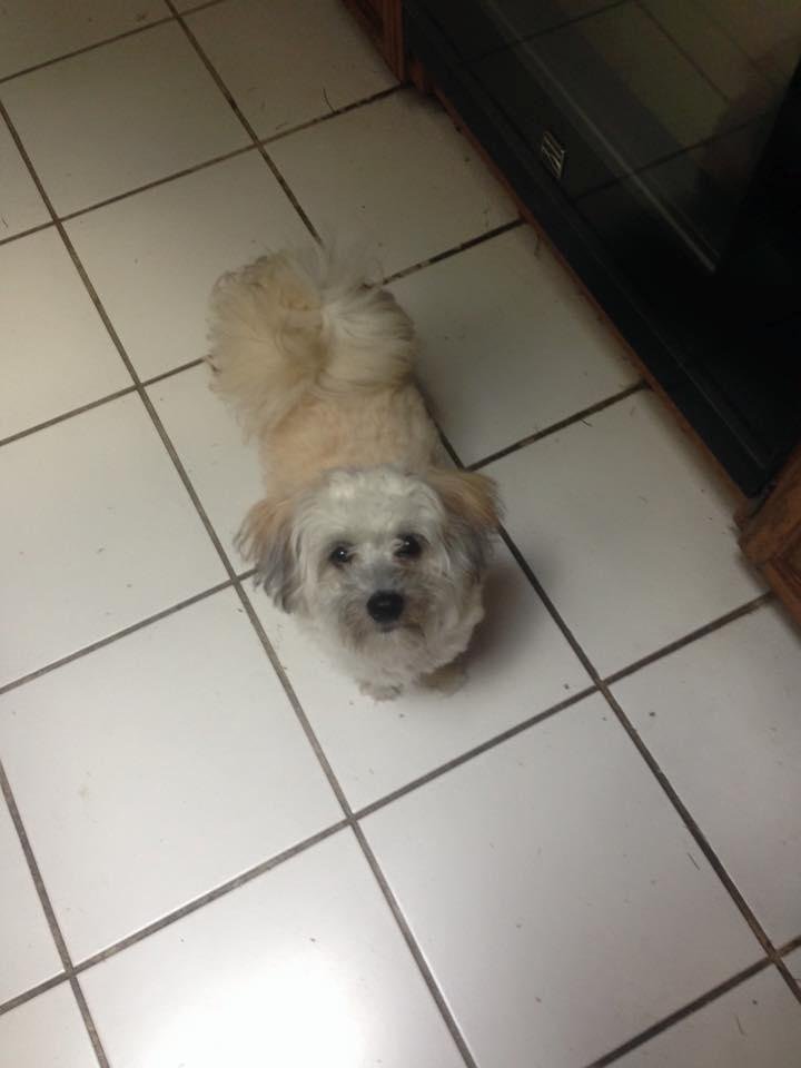 Sadie says hi