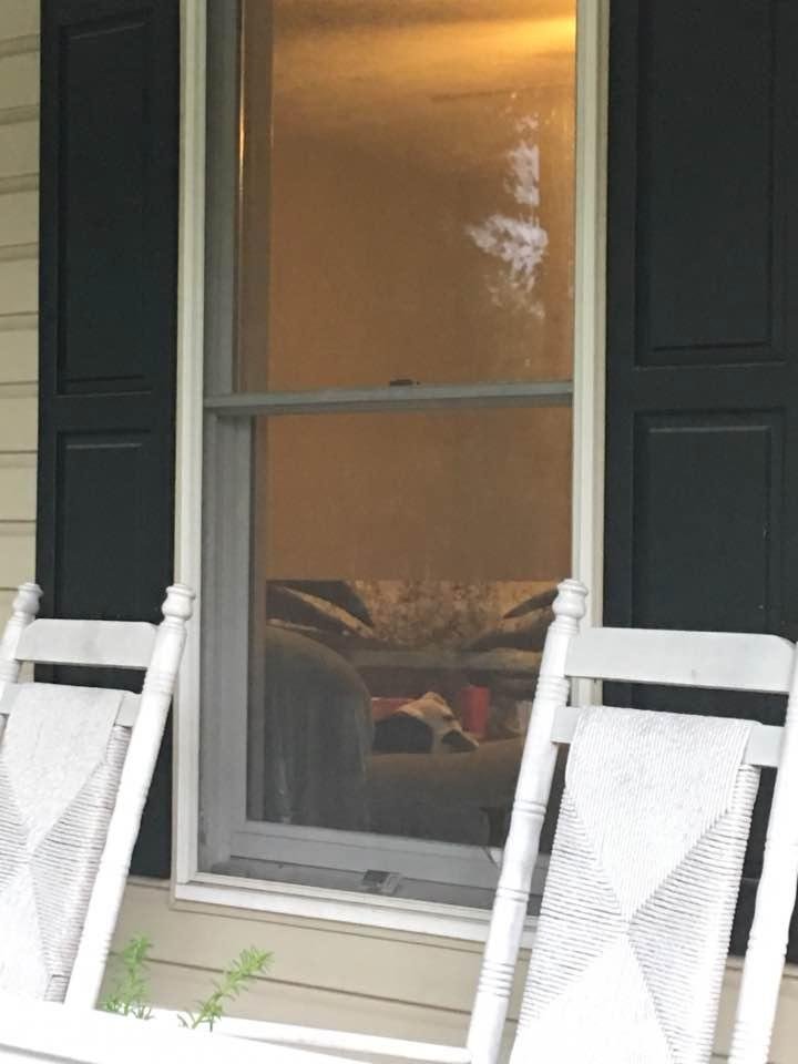 Yes my dog sits and waits, and waits, and waits for Nancy to come home. Even though the rest of us are home she waits for Nancy