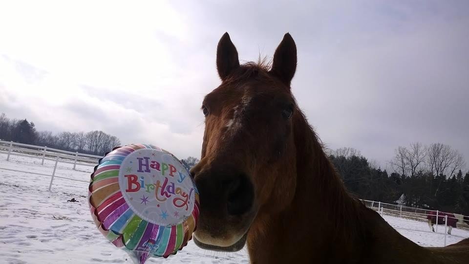 Happy 11th Birthday Zane !!