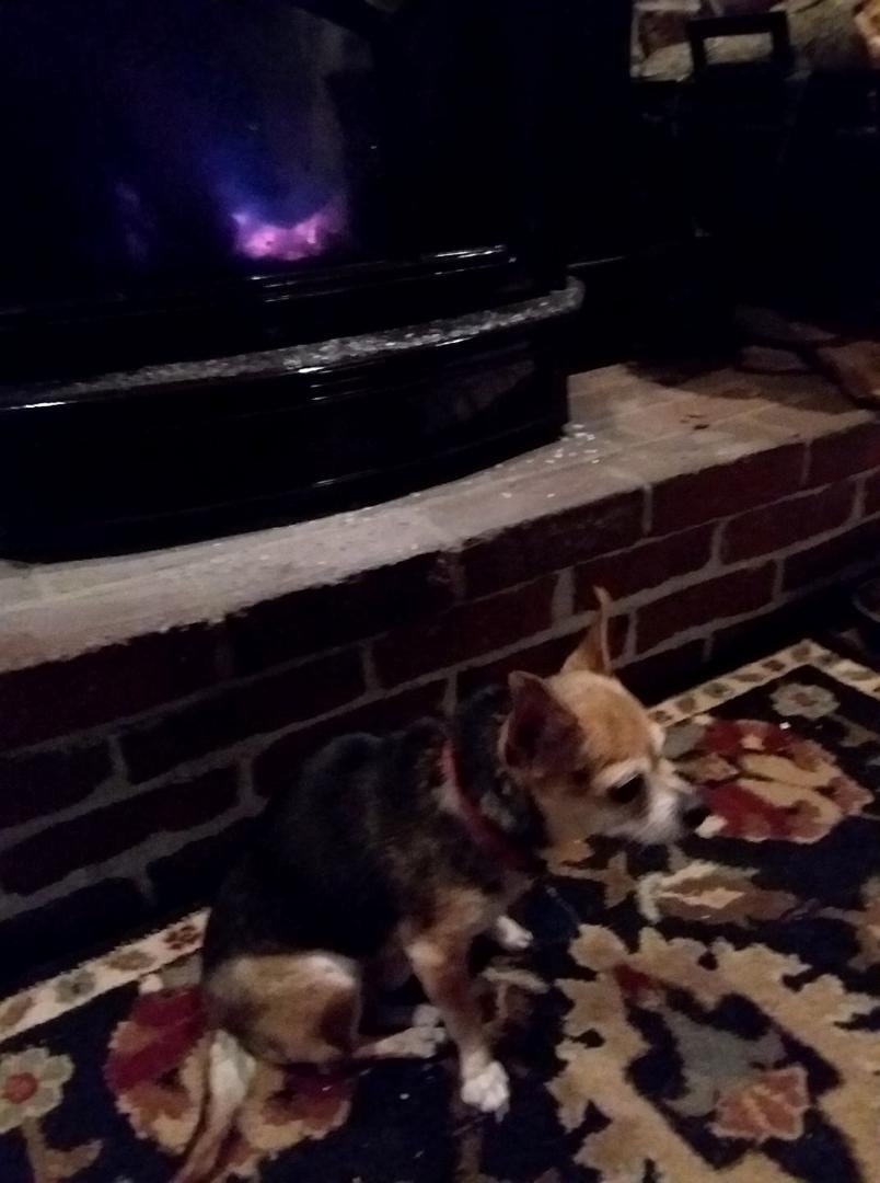 It's all about perspective....the hearth and the littlest guy warming by the stove.