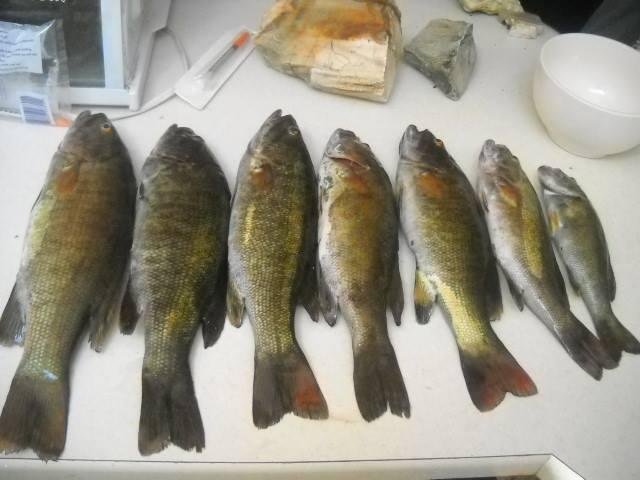 another good morning