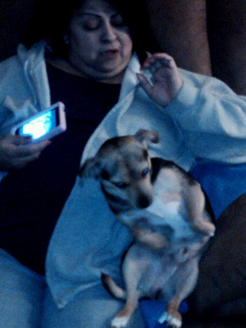 And B don't like animals, they flock to her