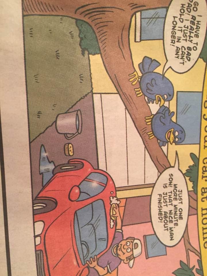 This is taught to every bird before first ever leaving its nest.