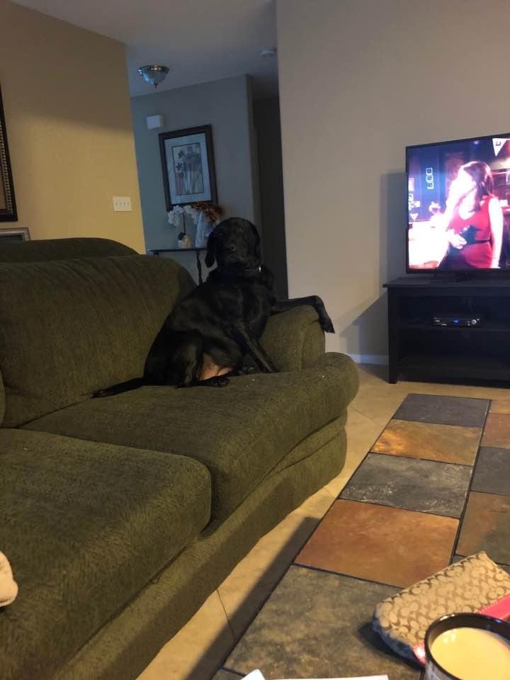 Just chillin’