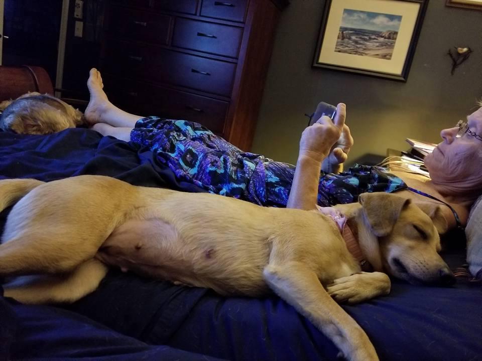 Jewel does sleep on the bed with with the family. She is a medium size dog, but compared to our three small dogs, she takes up a lot of bed space. She does start out on the bed, but then moves to the floor for most of the n