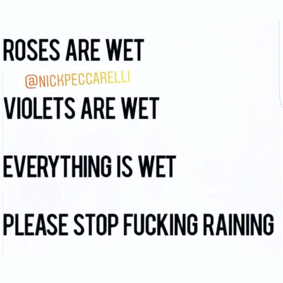 All I can say about this weather!