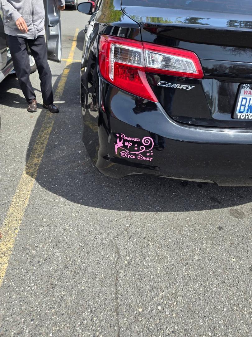 When I went shopping I noticed a bumper sticker (more like a painting), got a kick out of it and took a picture. this is it below.