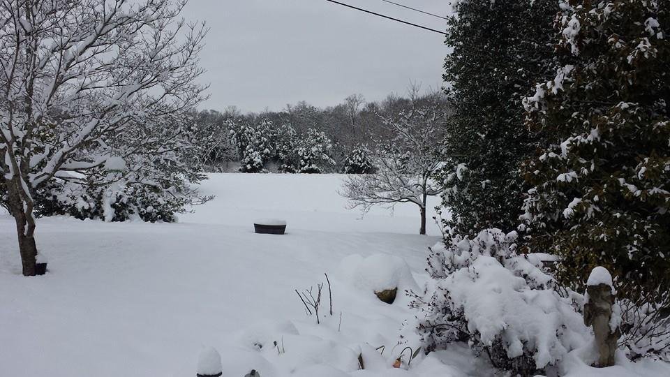Snow.