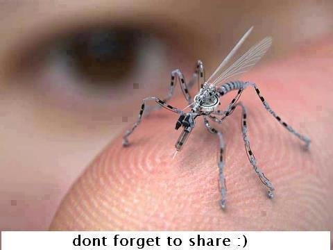 Is
this a mosquito?

No. It's an insect spy drone for urban areas, already in production,
funded by the US Government. It can be remotely controlled and is
equipped with a camera and a microphone. It can land on you, a