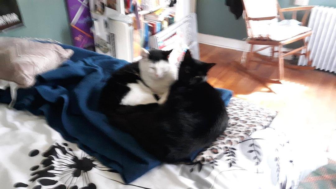 Sally and Jane, in loving mode
