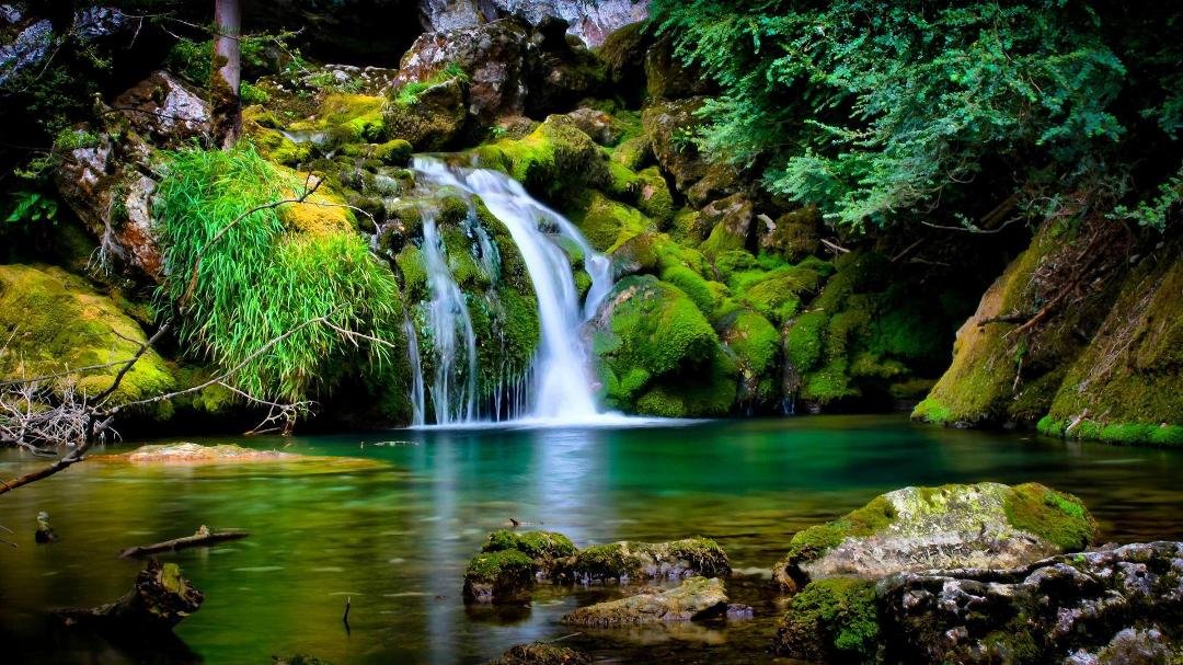 Imagine a more tropical version of this environment and you'll get a
 sense of the design I'm thinking of for my backyard pool (someday). A jacuzzi
 would be above the falls, adjacent to the master bedroom's deck.