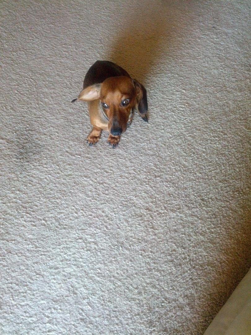The look I get before I leave the house