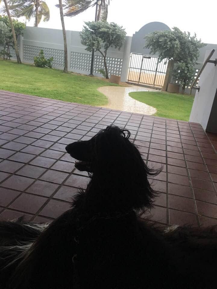Just finished our walk in time. Rain starting and winds blowing. Dorian on the way