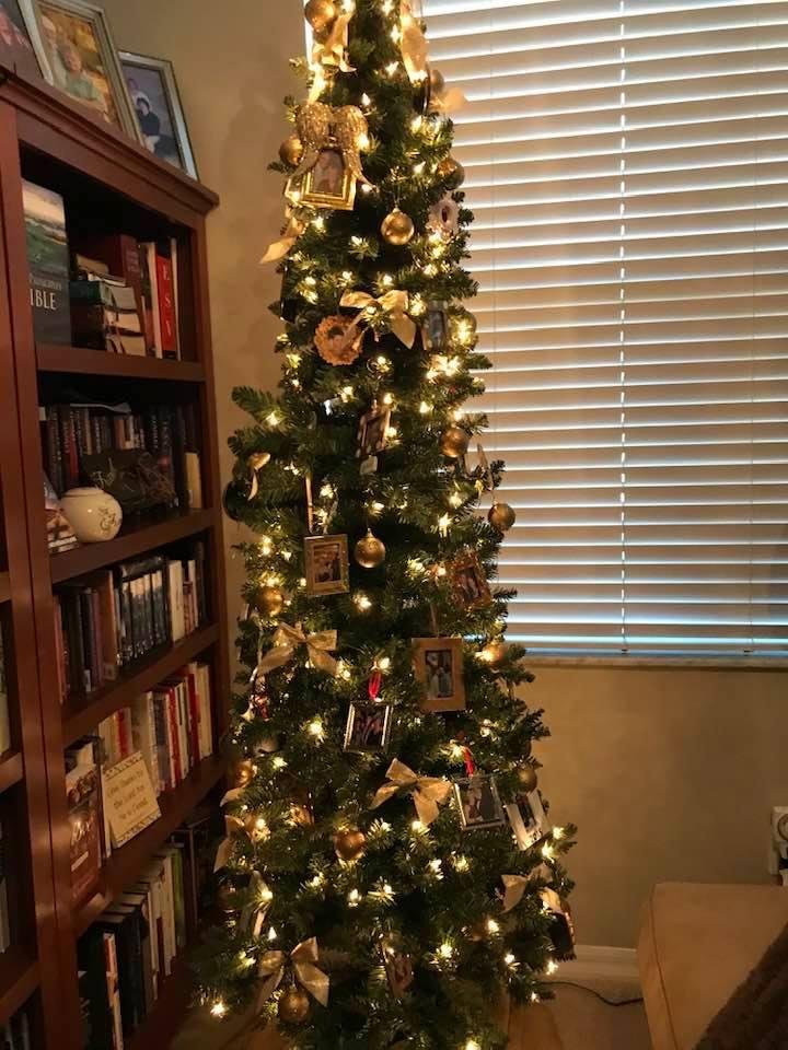 Penny's trees 2019