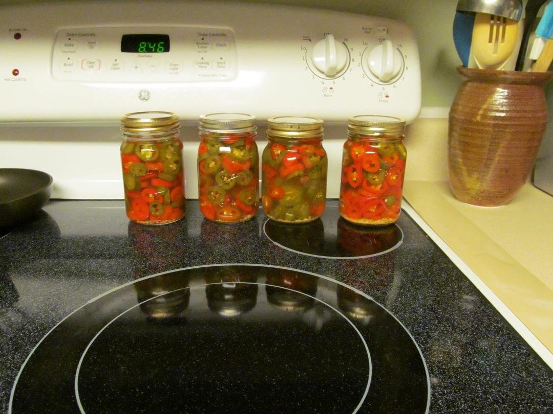 Canned pepper rings via water bath method. the other 4 jars got messed up in the pressure cooker, so they were water boarded, and then frozen. :)