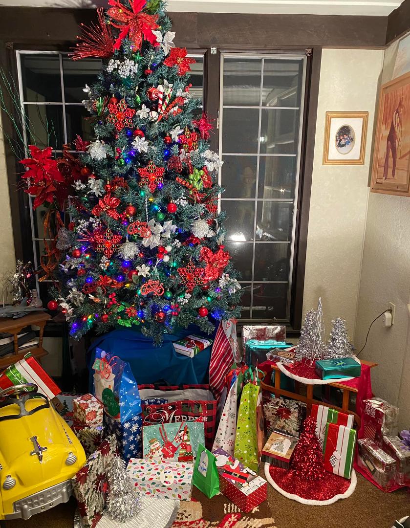 Getting home with only 10 days before Christmas, this is going to be all the decorating I do this year.  Merry Christmas everyone!