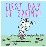 Dave Araki's album, Timeline Photos