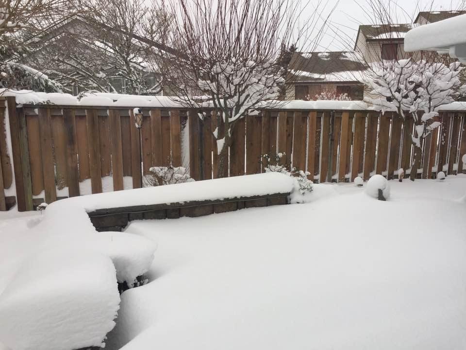 Probably 10 inches and it's starting to snow again!