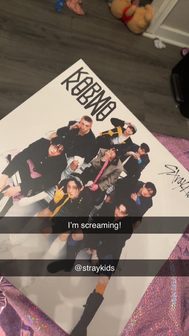 Gabrielle Smith's album, Stray Kids