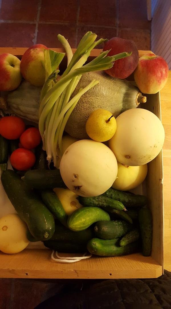 More abundance from my farm on the Wynoochee.