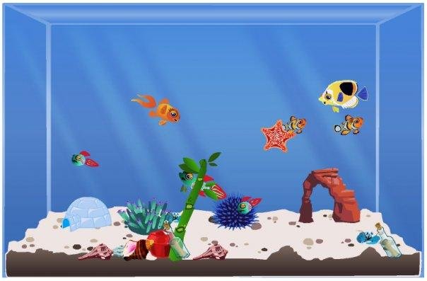 Virginia Wodtli's album, Happy Aquarium photos