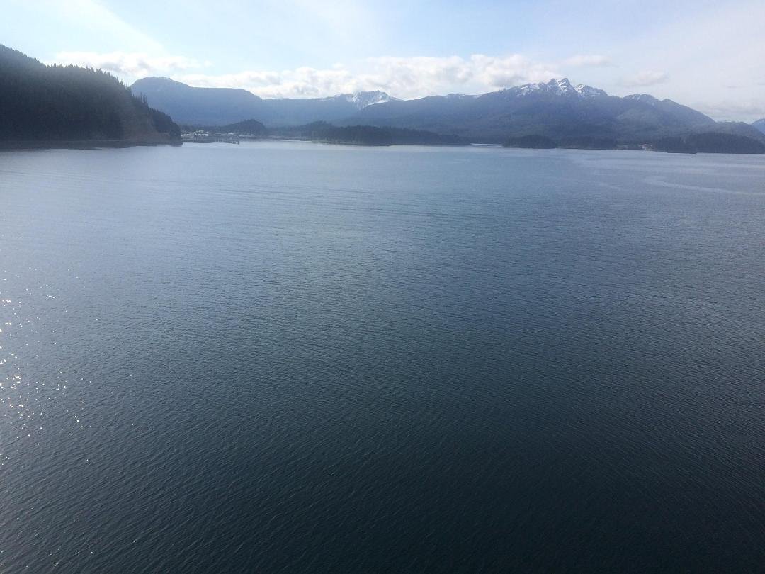 Breakfast view this morning. Alaska is beautiful.
