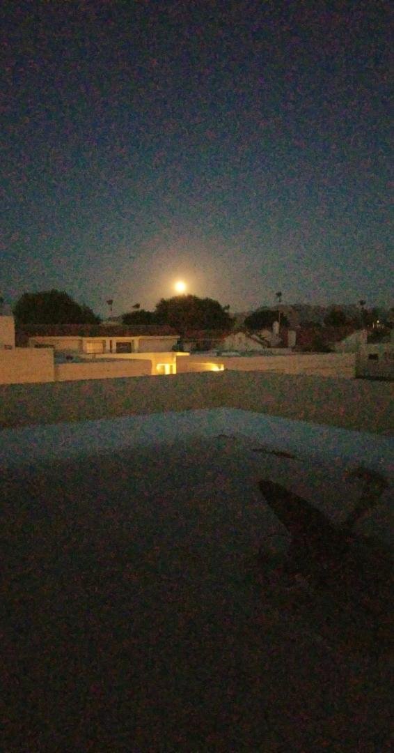 Moon rise tonight