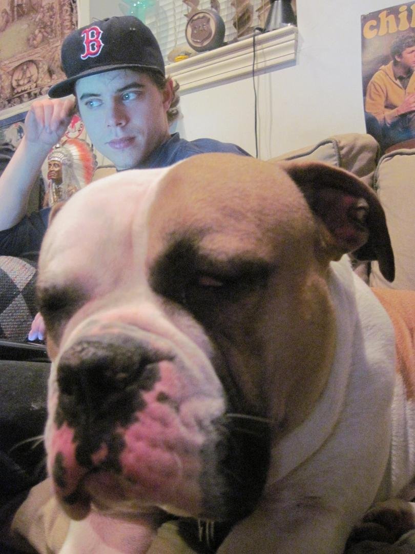 Dogs love unconditionally