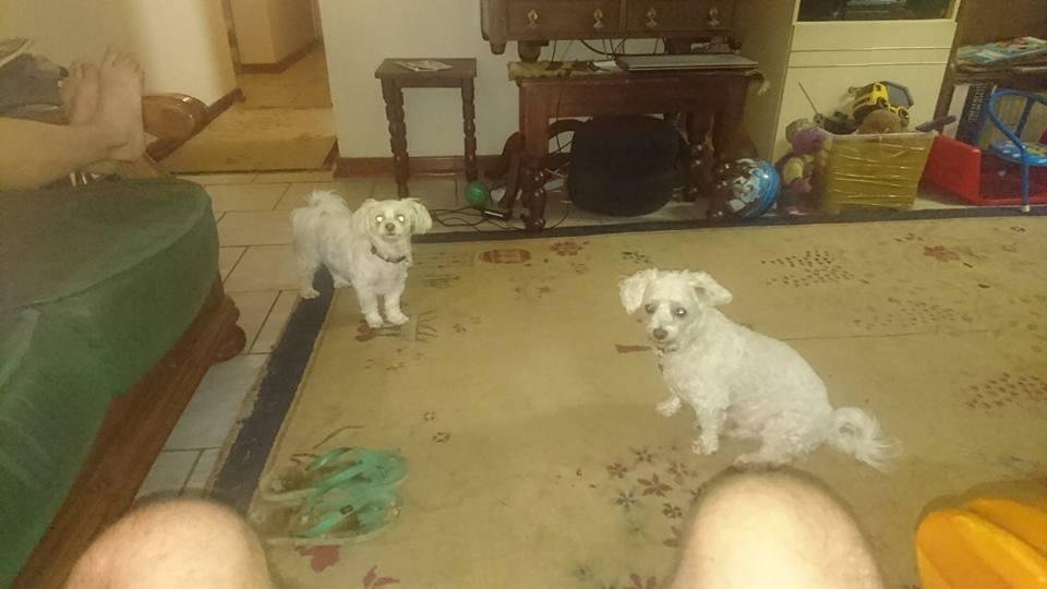 My 2 babies