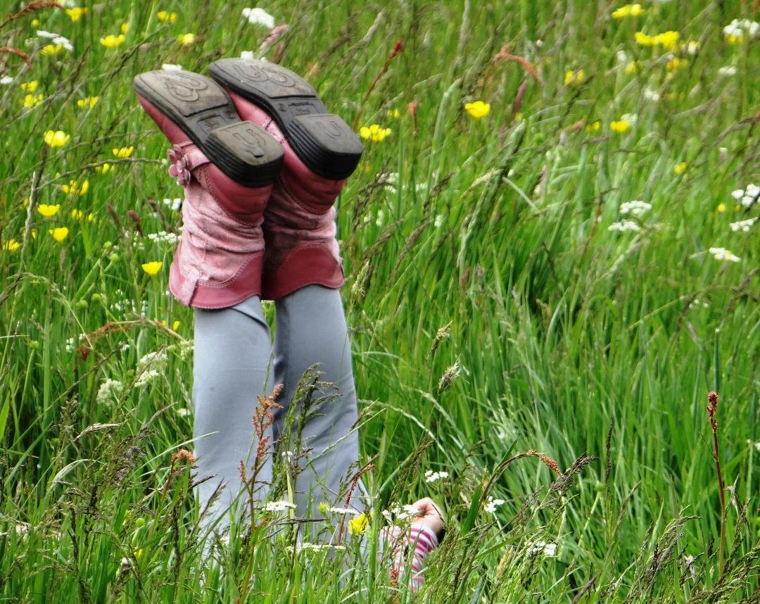Here is granddaughter Lucy playing in a beautiful meadow near Ruswarp, England.