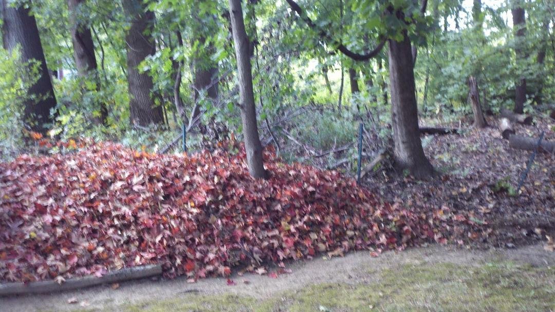 Yup... Did some raking yesterday...