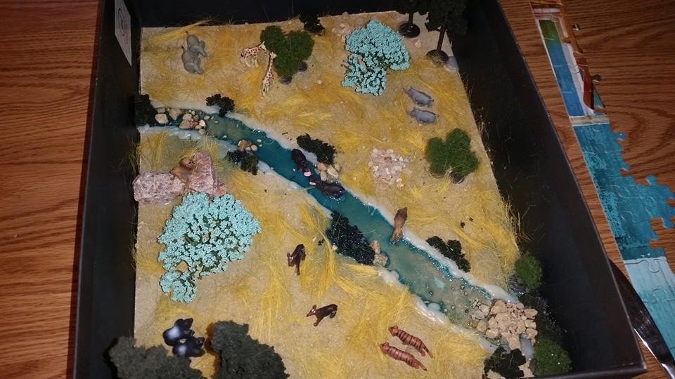 Nancy Petersen's album, Mobile Uploads