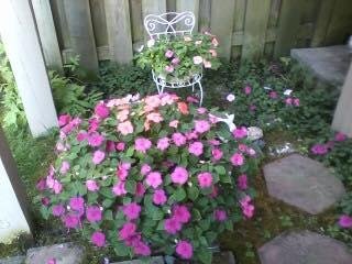 Shade garden