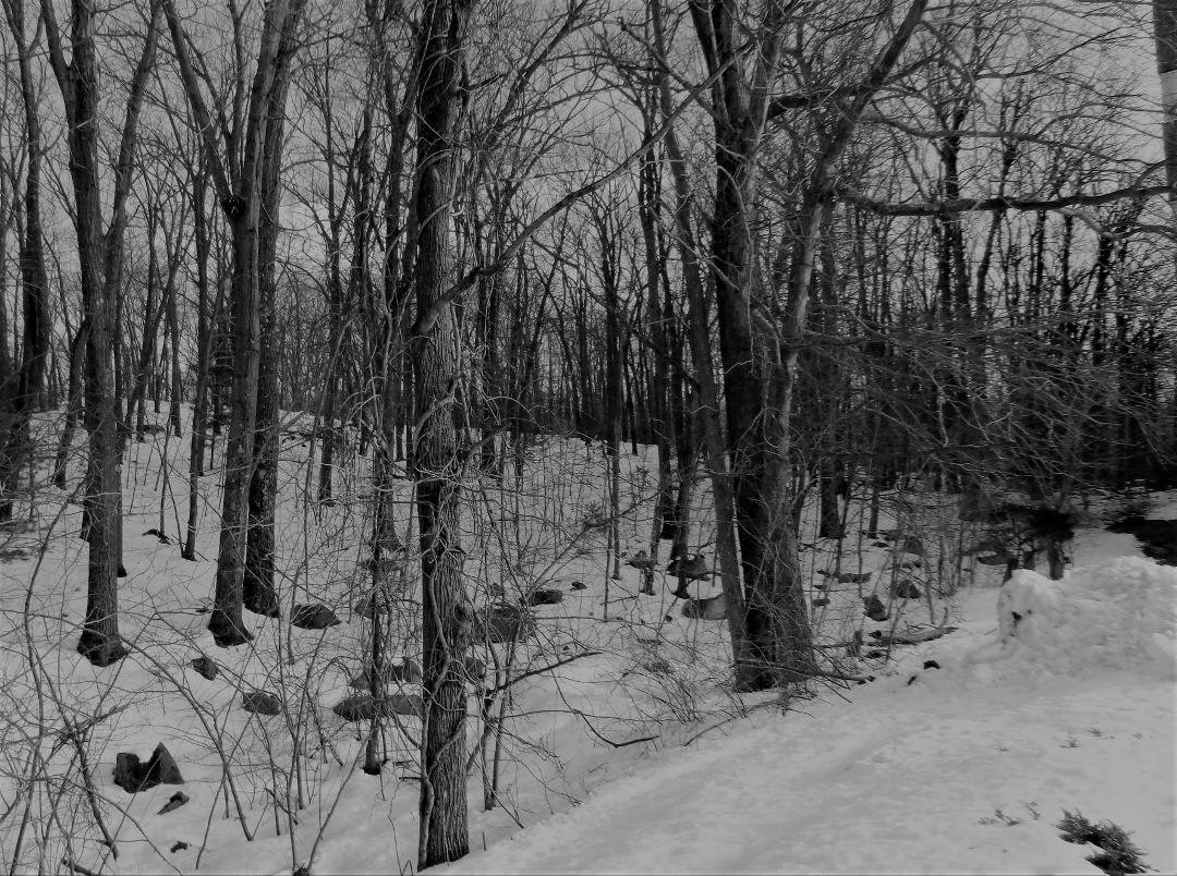 Day 10, and my last :( of the B&W Photo Challenge. It has been great seeing the reaction to my pics. Now, I am going to break rules (not new) and tell you about this pic. Leaving you with this peaceful image. This was taken