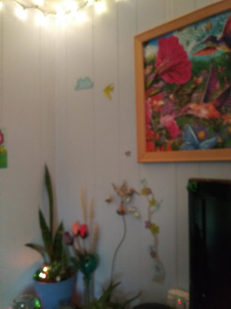 Janet Hall's album, Mobile uploads