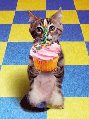 Happy Birthday Fran Miller, hope your day is full of celebrations!