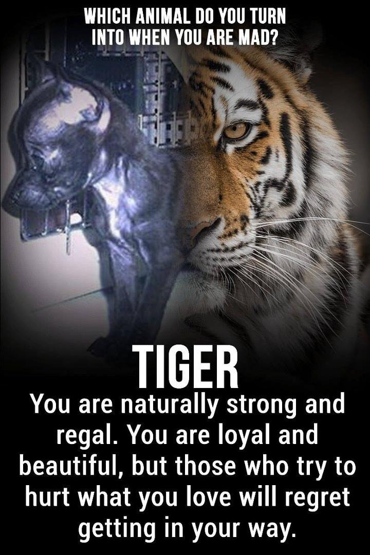 Ellen Ricker's album, Timeline Photos