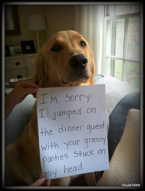 Patsy Miessler's album, Timeline Photos