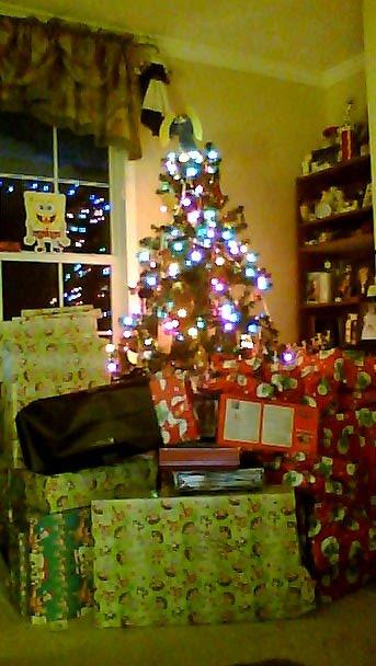 Hope I remember to take a pic tomorrow night, after Santa comes!