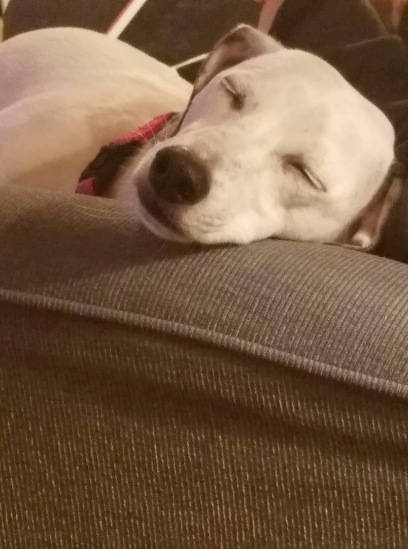 Jack having trouble keeping his eyes open